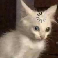 Tao tên là tao