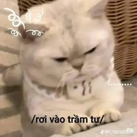 Tôi là Nó
