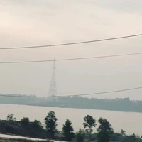 Cả đám khùng