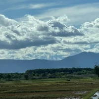 - ai thì trừ