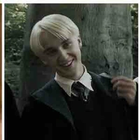 Draco Malloy