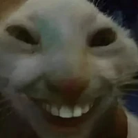 T/g Skbidi 