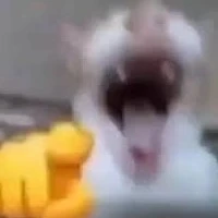 t/g
