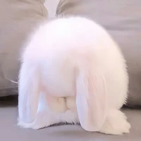Tgg nè cậu! 