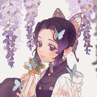 shinobu