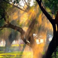 Con Luyến ( Người hầu trong phủ )