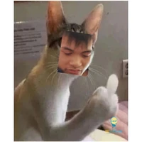 thk nào đó