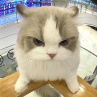 quái vật