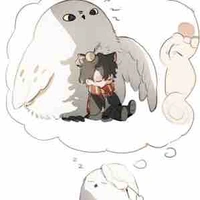 Làm T/g cũng mệt lắm chứ 