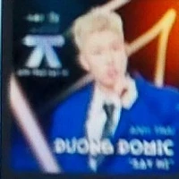 dương domic