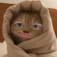 Gọi tui là Ryn,Ryn khờ