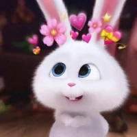 ʚɞepé cá nócଓ