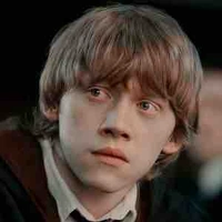 Ronald Bilius Weasley 