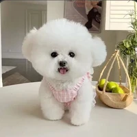 Mie