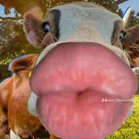 tác giả đi mua muối