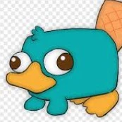 PERRY