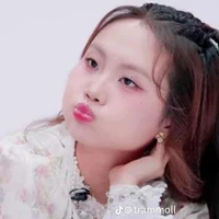 phương mỹ chi