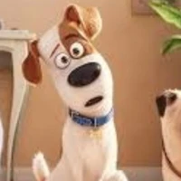 cân hết vai phụ