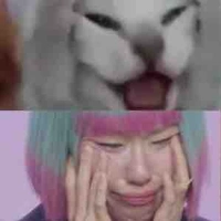 Nhỏ t/g viết kết se :)) 