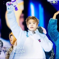 Phạm Đình Thái Ngân