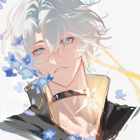 Phainon(Neikos 496/Snowy)