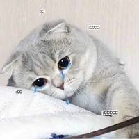 Tg hay sầu đời