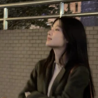 Han JinYoung