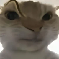 cả lớp