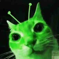 đứa nào đọc làm chó