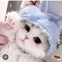 bé thỏ ( vk tg ok😘)