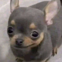 all