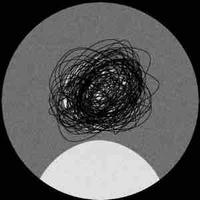 All Đầu Gấu Nhồi Bông