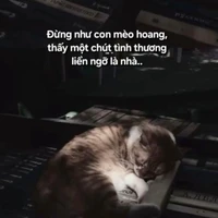 Cừu Có Cánh