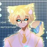 Hiha anti catnap