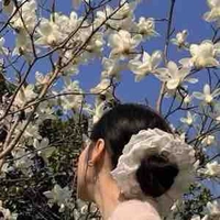 Mẹ 🐑