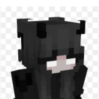 hội trưởng hội học sinh