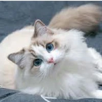 ♡Helen♡♤Hệ Thống 022♤