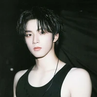 Lưu Diệu Văn - Anh
