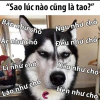 Âm nhạc cho thêm sống động:))))