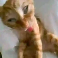 my friend(kệ cái ảnh đi)