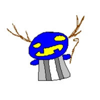 dusekkar(bí ngô biết bay)