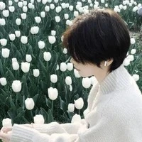 Akai Suzuki [ Thư kí riêng của Noel ]