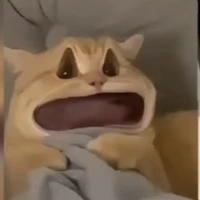 tg