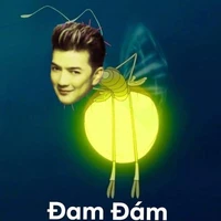 đóm