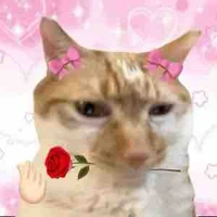 Tác giả thích drop🌝🥀