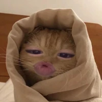 T/g là Én