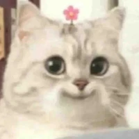 tác giả lười biếng 