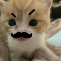 thư ké tác giả🍒