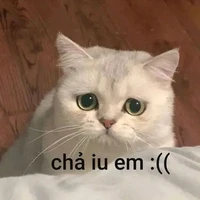 all /-một vài ng/