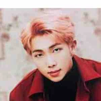 Kim Nam Joon 